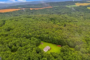 1366 Deer Haven Rd, Bruceton Mills, WV 26525 - Photo 39