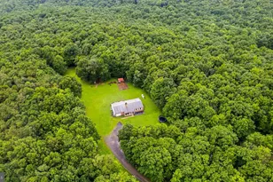 1366 Deer Haven Rd, Bruceton Mills, WV 26525 - Photo 29
