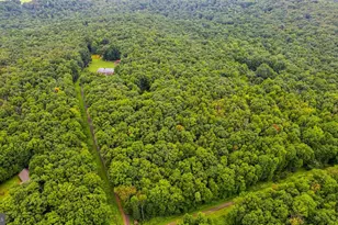 1366 Deer Haven Rd, Bruceton Mills, WV 26525 - Photo 31