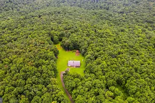 1366 Deer Haven Rd, Bruceton Mills, WV 26525 - Photo 37