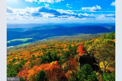 483 The High Road, Franklin, WV 26807 - Photo 19