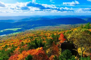 483 The High Rd, Franklin, WV 26807 - Photo 19