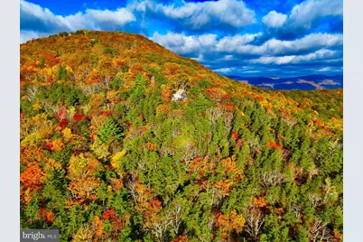 483 The High Road, Franklin, WV 26807 - Photo 13