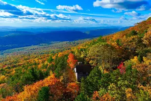 483 The High Rd, Franklin, WV 26807 - Photo 17