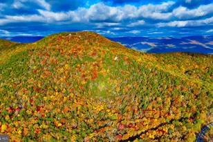 483 The High Rd, Franklin, WV 26807 - Photo 15