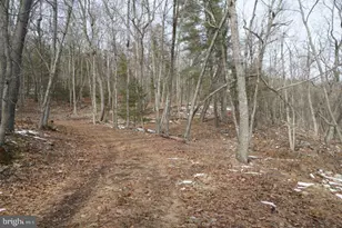 255 Troublesome Valley Rd, Franklin, WV 26807 - Photo 71