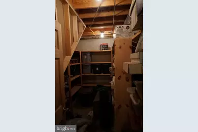 255 Troublesome Valley Road, Franklin, WV 26807 - Photo 49