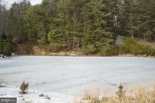 255 Troublesome Valley Rd, Franklin, WV 26807 - Photo 69