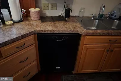 255 Troublesome Valley Road, Franklin, WV 26807 - Photo 29