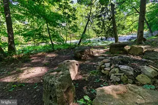 187 Leonard Ln, Franklin, WV 26807 - Photo 89