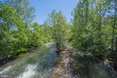 187 Leonard Lane, Franklin, WV 26807 - Photo 81