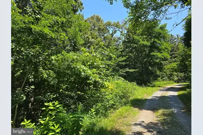 Lot 24 Stone Fly Ln, Sugar Grove, WV 26815 - Photo 7