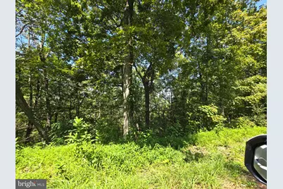 Lot 24 Stone Fly Ln, Sugar Grove, WV 26815 - Photo 5