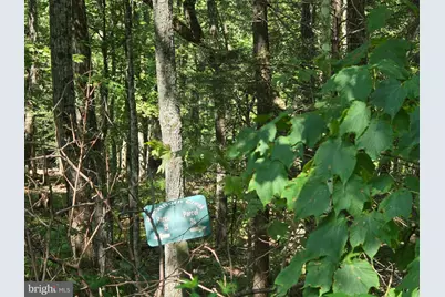 Lot 24 Stone Fly Ln, Sugar Grove, WV 26815 - Photo 3