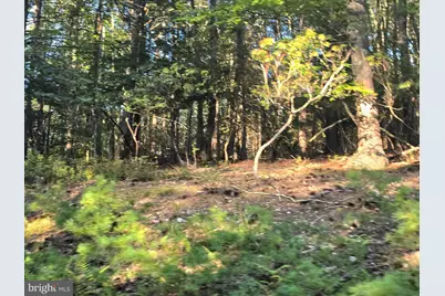 Lot 24 & 27 Native Trout Ln, Sugar Grove, WV 26815 - Photo 1