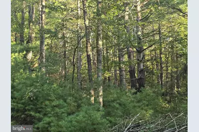 Lot 24 & 27 Native Trout Ln, Sugar Grove, WV 26815 - Photo 3