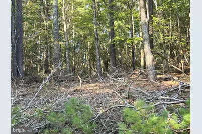 Lot 24 & 27 Native Trout Ln, Sugar Grove, WV 26815 - Photo 7