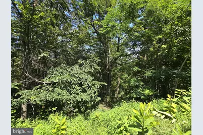 Lot #21 Stone Fly Dr., Sugar Grove, WV 26815 - Photo 15