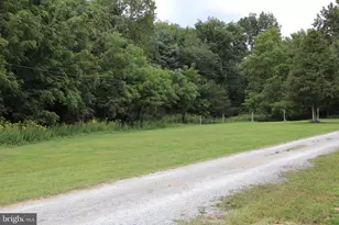 106 Pit Run Rd, Brandywine, WV 26802 - Photo 49