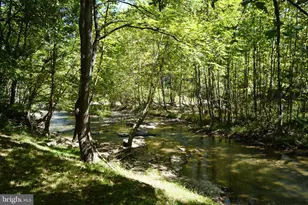 789 Upper South Branch Rd, Franklin, WV 26807 - Photo 45