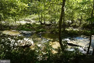 789 Upper South Branch Rd, Franklin, WV 26807 - Photo 47