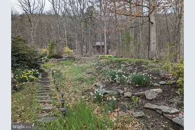 1537 Hidden Valley Road, Franklin, WV 26807 - Photo 15