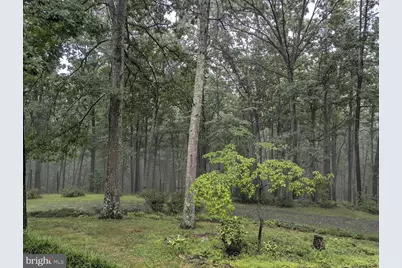 1537 Hidden Valley Road, Franklin, WV 26807 - Photo 7