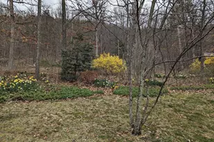 1537 Hidden Valley Rd, Franklin, WV 26807 - Photo 59