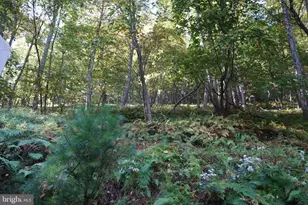 1453 Dry Run Rd, Franklin, WV 26807 - Photo 35