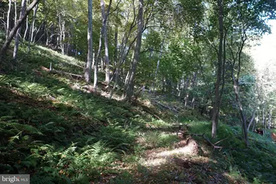 1453 Dry Run Road, Franklin, WV 26807 - Photo 35