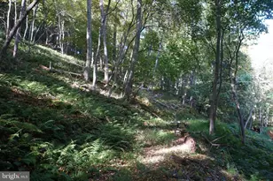 1453 Dry Run Rd, Franklin, WV 26807 - Photo 35