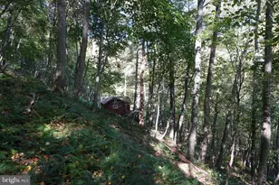 1453 Dry Run Rd, Franklin, WV 26807 - Photo 41