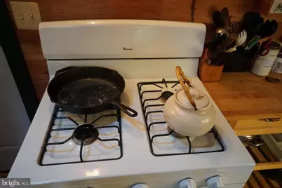 1453 Dry Run Road, Franklin, WV 26807 - Photo 17