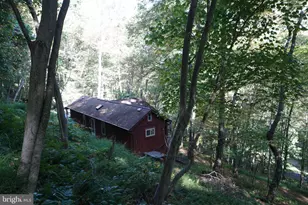 1453 Dry Run Rd, Franklin, WV 26807 - Photo 37