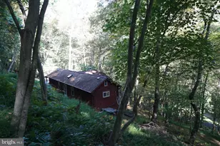 1453 Dry Run Rd, Franklin, WV 26807 - Photo 11