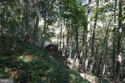 1453 Dry Run Road, Franklin, WV 26807 - Photo 37
