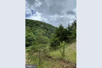 534 Strauter Road, Franklin, WV 26807 - Photo 21