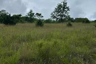 534 Strauter Rd, Franklin, WV 26807 - Photo 23