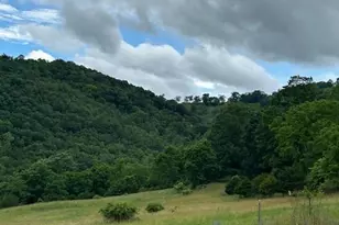 534 Strauter Rd, Franklin, WV 26807 - Photo 29