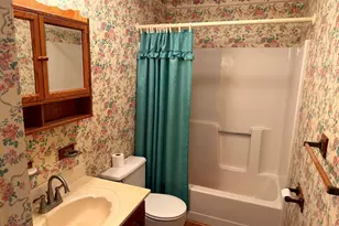 645 Lower North Fork Rd, Seneca Rocks, WV 26884 - Photo 45