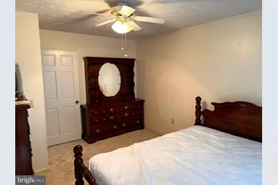 645 Lower North Fork Road, Seneca Rocks, WV 26884 - Photo 41