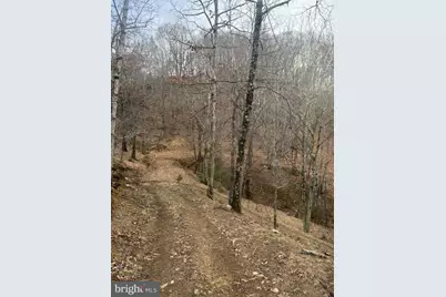 365 Strauter Road, Franklin, WV 26807 - Photo 1