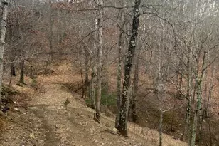 365 Strauter Rd, Franklin, WV 26807 - Photo 1