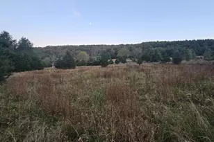 83 May Fly Ln, Sugar Grove, WV 26815 - Photo 9