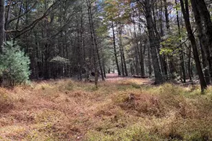 3825 Dickenson Mountain Rd, Franklin, WV 26807 - Photo 25