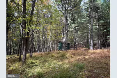 3825 Dickenson Mountain Road, Franklin, WV 26807 - Photo 31