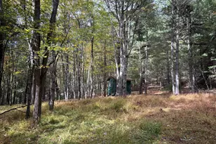 3825 Dickenson Mountain Rd, Franklin, WV 26807 - Photo 31