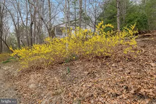 232 Oakmont Estates Dr, Franklin, WV 26807 - Photo 77