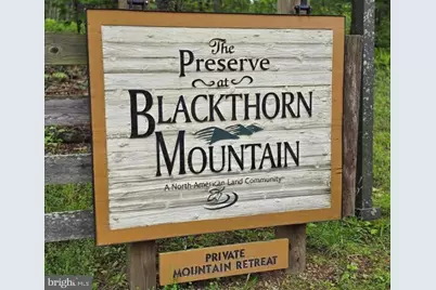 Native Trout Drive, Sugar Grove, WV 26815 - Photo 1