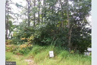 Native Trout Drive, Sugar Grove, WV 26815 - Photo 5